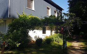 Ruhige Ferienwohnung „Suedhang“ Direkt Am Wald